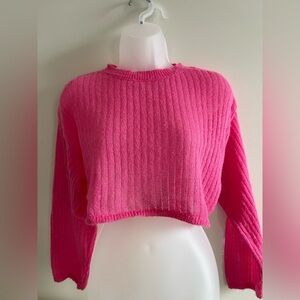 Wild Fable Bright Pink Knit Cropped Top